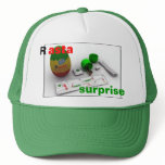 Rasta Surprise cap hats