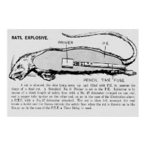 Rat Bomb, Descriptive catalogue of Special Devices posters