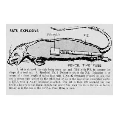 rat_bomb_descriptive_catalogue_of_special_devices_poster-p228803403501876346tdcp_400.jpg