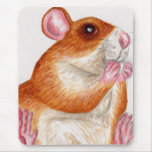 rat eating treat mousepads