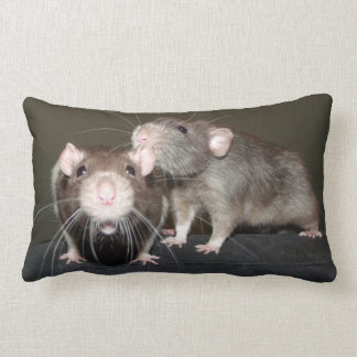 rat pillow pet