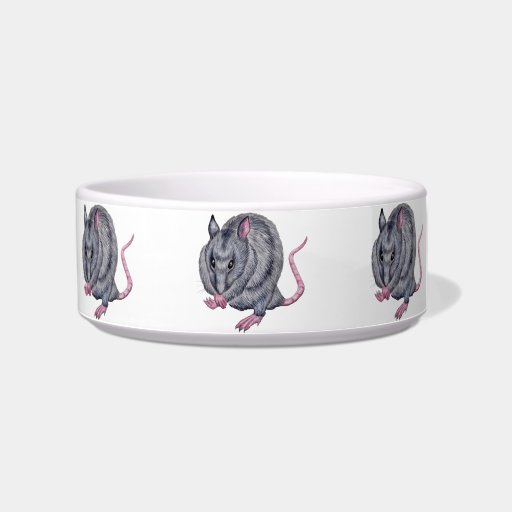 Pet Rat Pet Bowls, Pet Rat Dog Bowls, Pet Rat Cat Bowls
