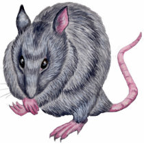rat grooming sculpture photo cut outs