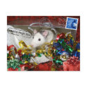 Rat in a bag Postcard by Mel669 Rat in a bag Postcard