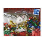 Rat in a bag Postcard