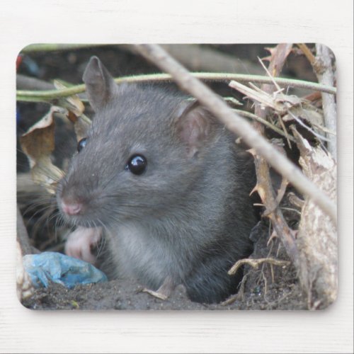 Rat in a hole Mousepad mousepad