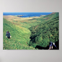 Rat Island, USbiologist Jeff Williams and Island C Print