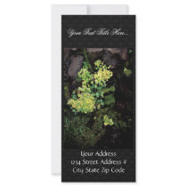 Rat Island wildflowers, Monkey flower, saxifrage Full Color Rack Card