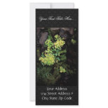 Rat Island wildflowers, Monkey flower, saxifrage rack cards