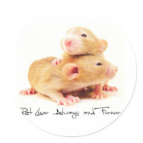 Rat Lover Always and Forever Sticker