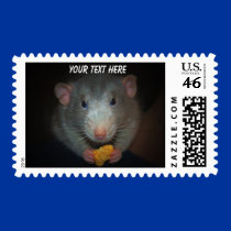 Rat Mail postage by zack12349 Rat Mail postage
