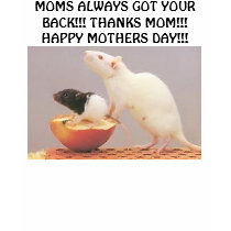 RAT MOMS ALWAYS GOT YOUR BACK!!! THANKS MOM!!... t-shirts