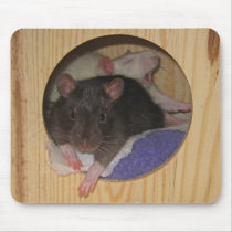 Rat Mousepad by asbwireless Rat Mousepad