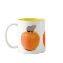 rat mugs