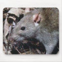 Rat Pad mousepads