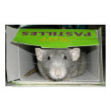 Rat Pastilles posters