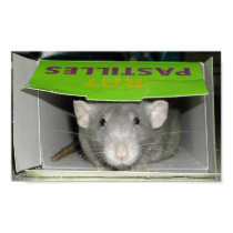 Rat Pastilles posters by rattycorner Rat Pastilles posters
