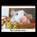 Rat Picture 2012 Calendar