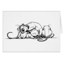 Rat pile cards by Drusilla Rat pile cards
