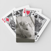 Rat Playing Cards playing cards