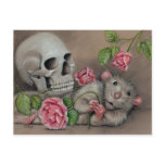 Rat Rose Skull Postcard drawing