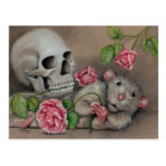 Rat Rose Skull Postcard drawing