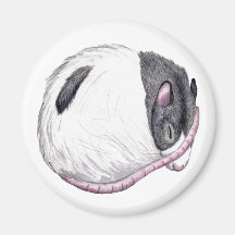 rat sleeping magnet