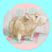  rat stickers