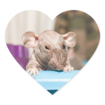 rat sticker