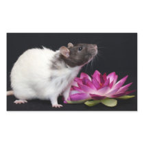 Rat Stickers