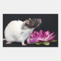 Rat Stickers