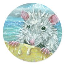 Rat surfing wipeout stickers