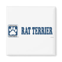 RAT TERRIER_Blue magnets
