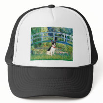 Rat Terrier - Bridge hats