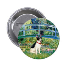 Rat Terrier - Bridge Pinback Buttons