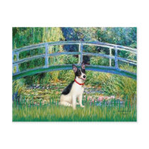 Rat Terrier - Bridge postcards