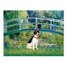 Rat Terrier - Bridge Postcard