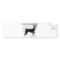 Rat Terrier Bumper Sticker
