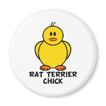 Rat Terrier Chick magnets