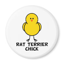 Rat Terrier Chick magnets