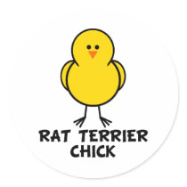Rat Terrier Chick stickers