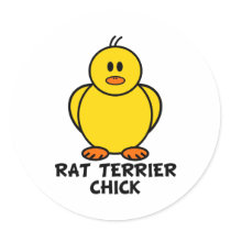 Rat Terrier Chick stickers