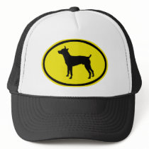 Rat Terrier hats