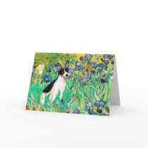 Rat Terrier - Irises cards