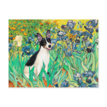 Rat Terrier - Irises postcards