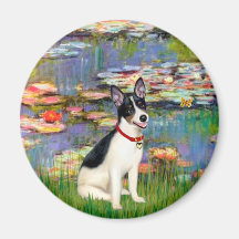 Rat Terrier - Lilies 2 Fridge Magnets