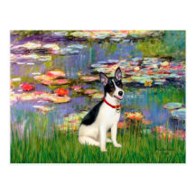 Rat Terrier - Lilies 2 Post Cards
