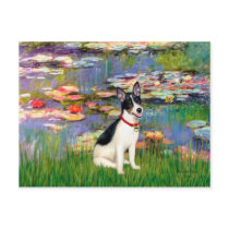 Rat Terrier - Lilies 2 postcards