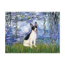 Rat Terrier - Lilies 6 postcards