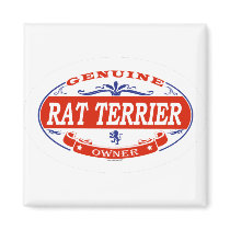 RAT TERRIER_ magnets